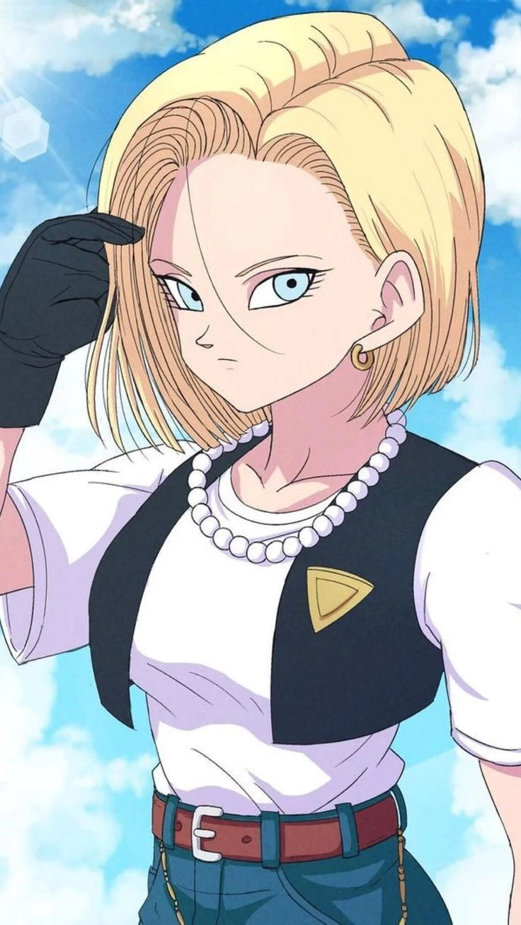 ảnh Android 18 26