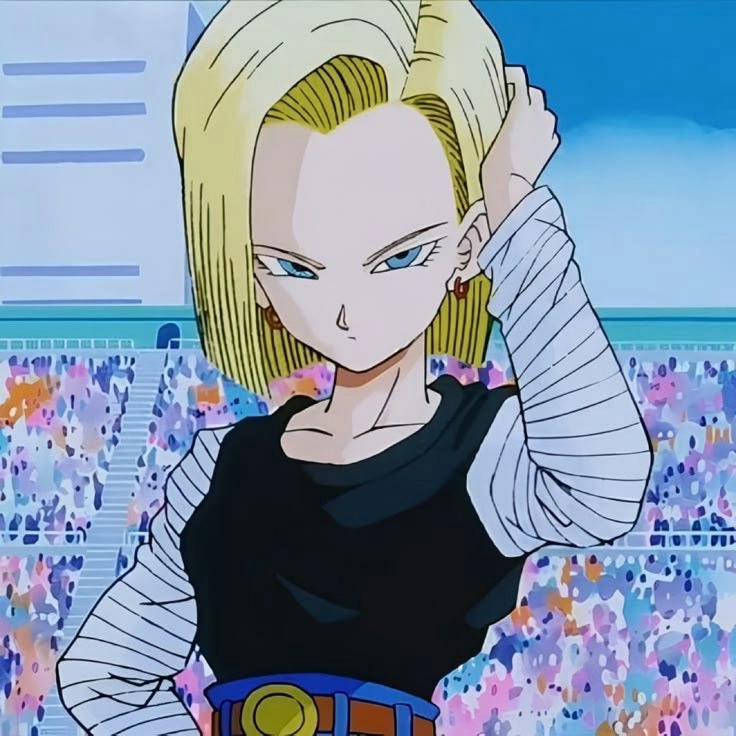 ảnh Android 18 27