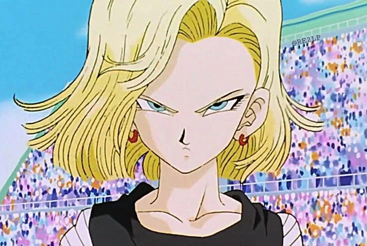 ảnh Android 18 28