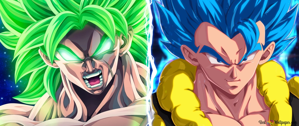 Broly 24