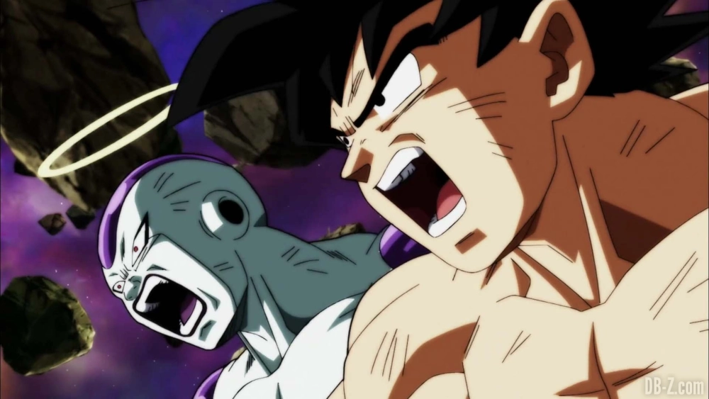 Frieza 14