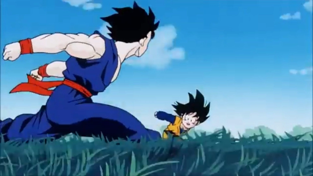 Gohan 22