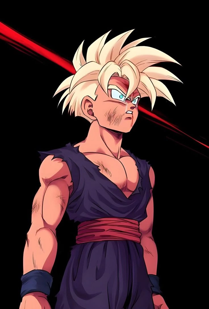 Gohan 9