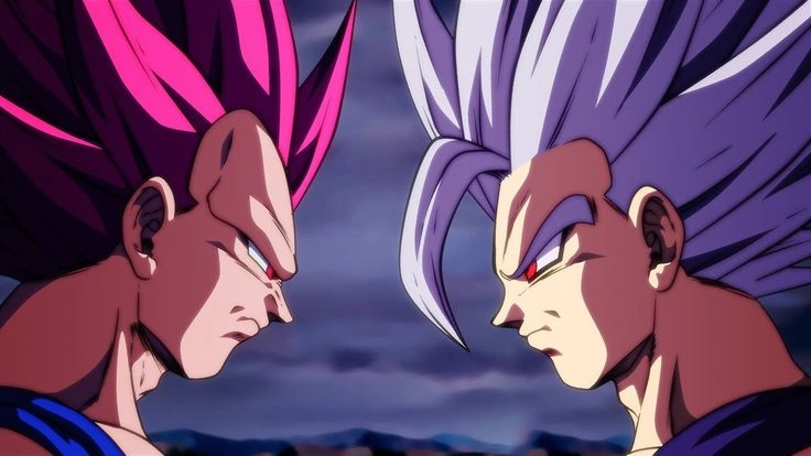 Gohan 19