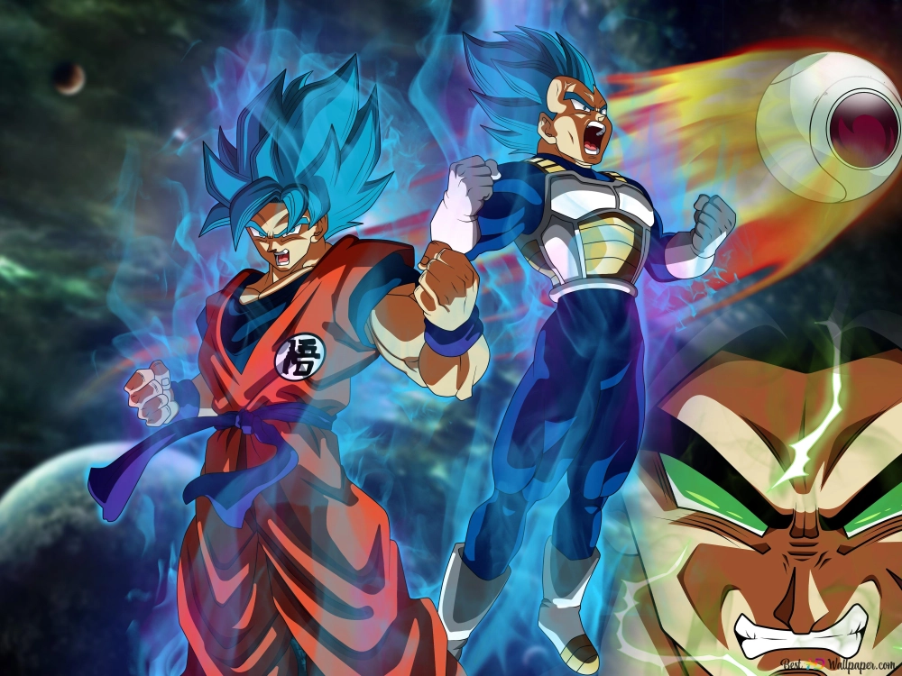 Vegeta 7