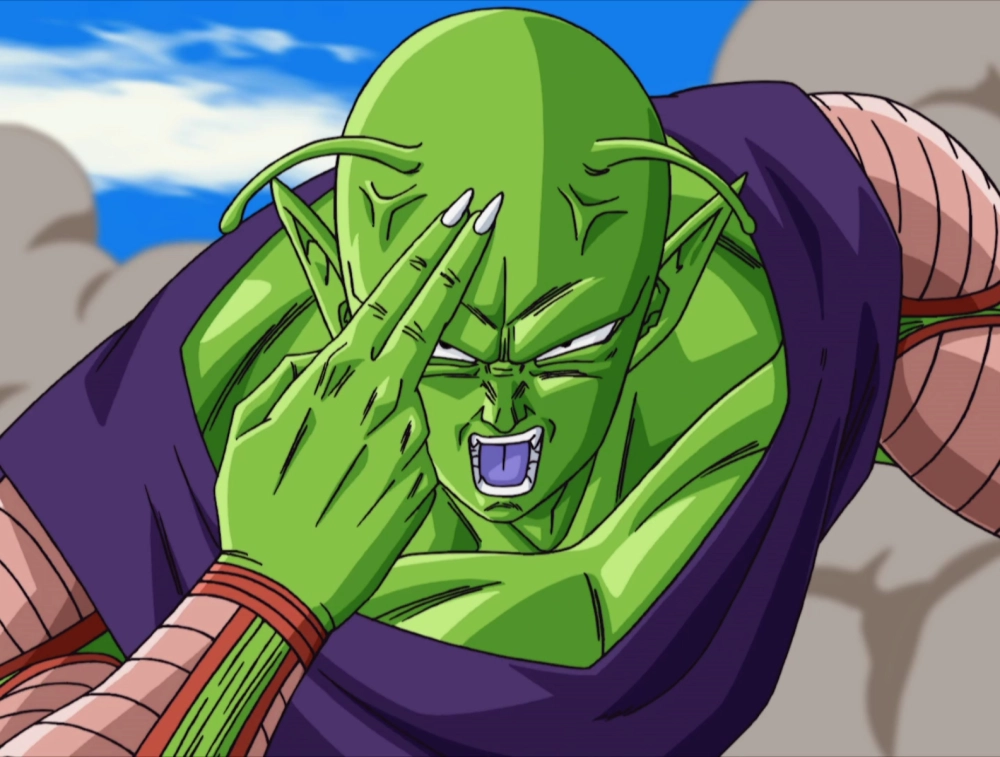 Piccolo 11