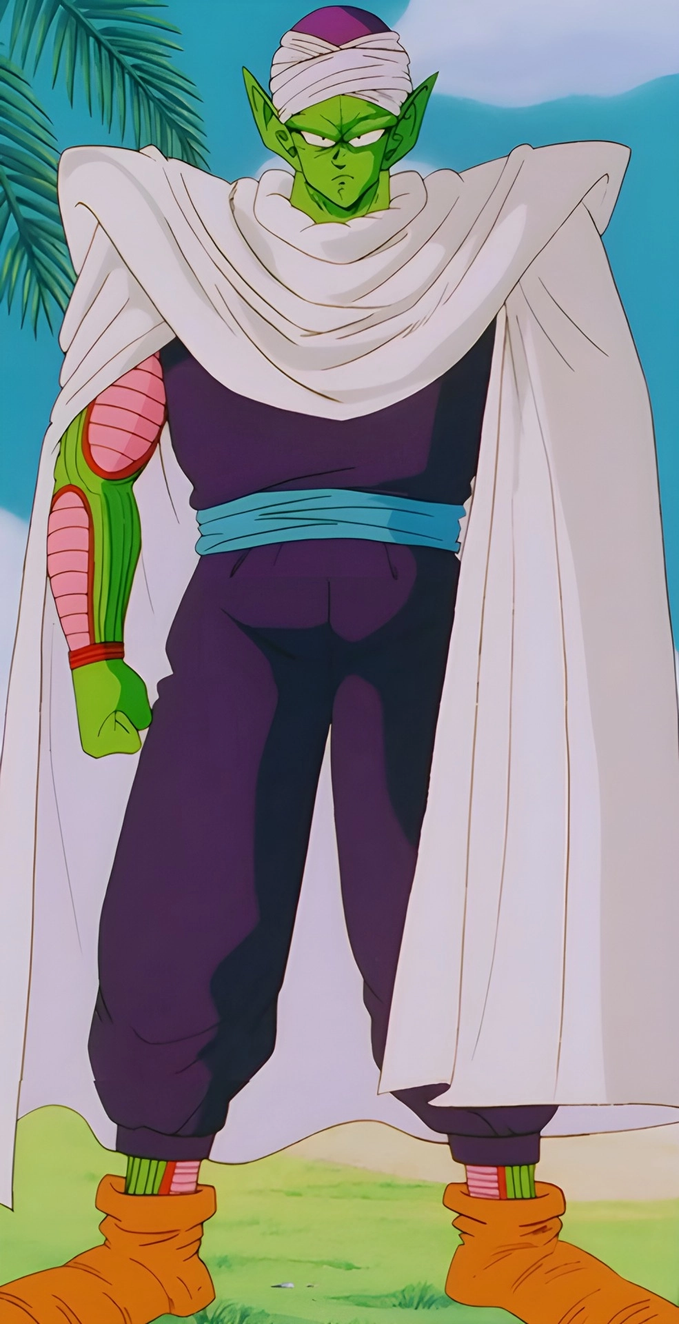Piccolo 12