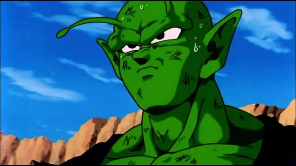 Piccolo 18