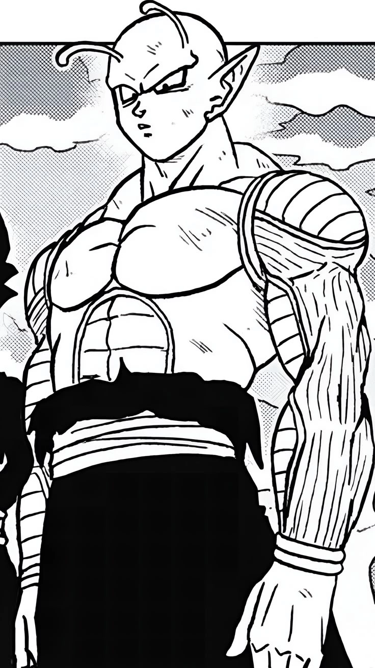 Piccolo 22