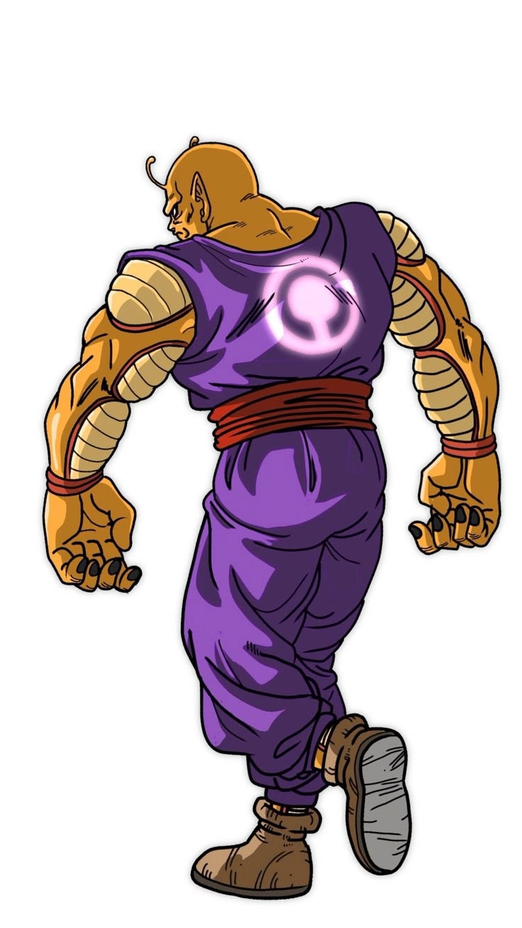 Piccolo 24