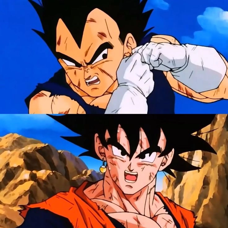 Vegeta 8