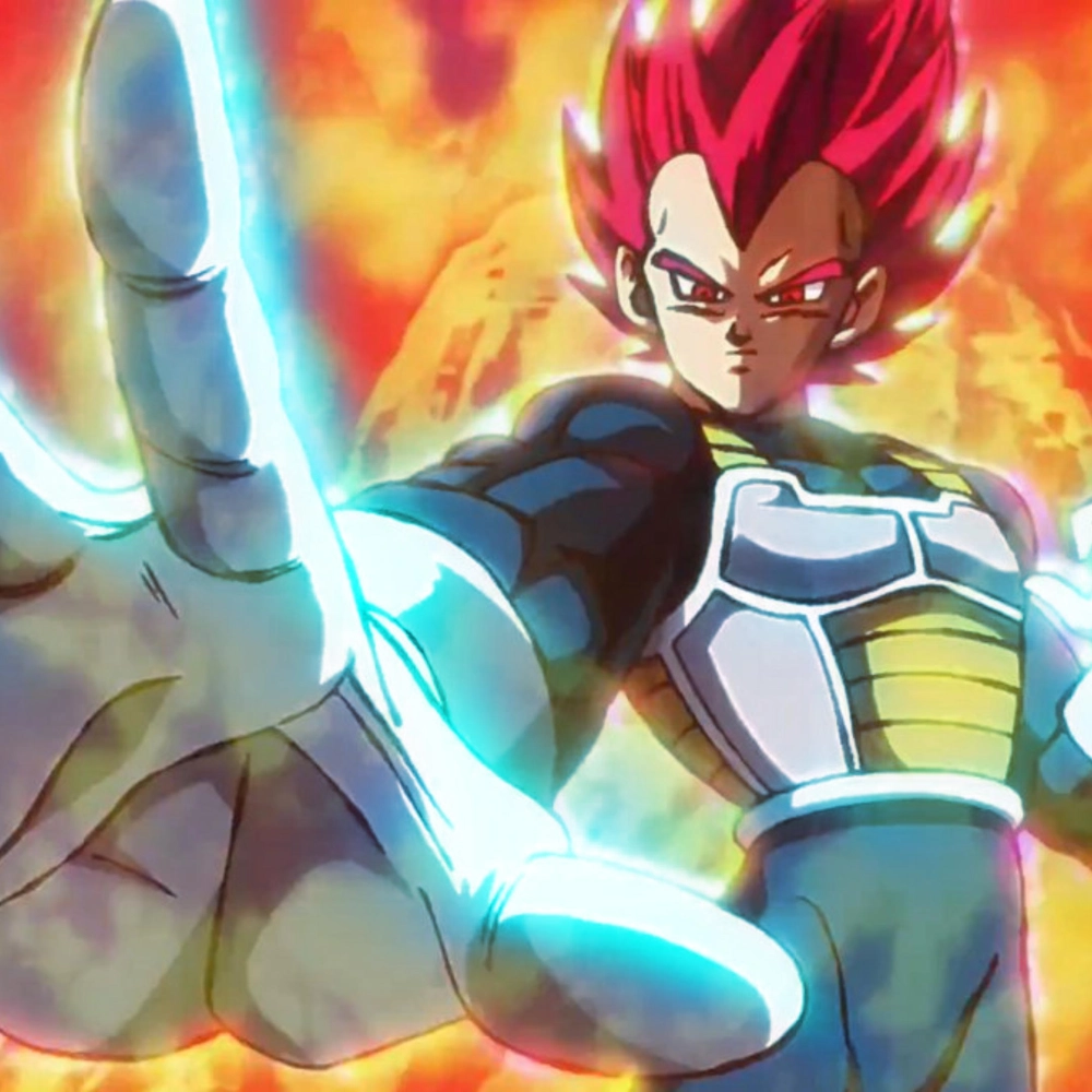 Vegeta 28