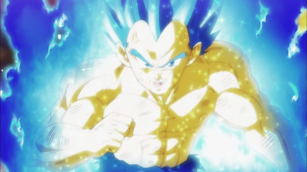Vegeta 30
