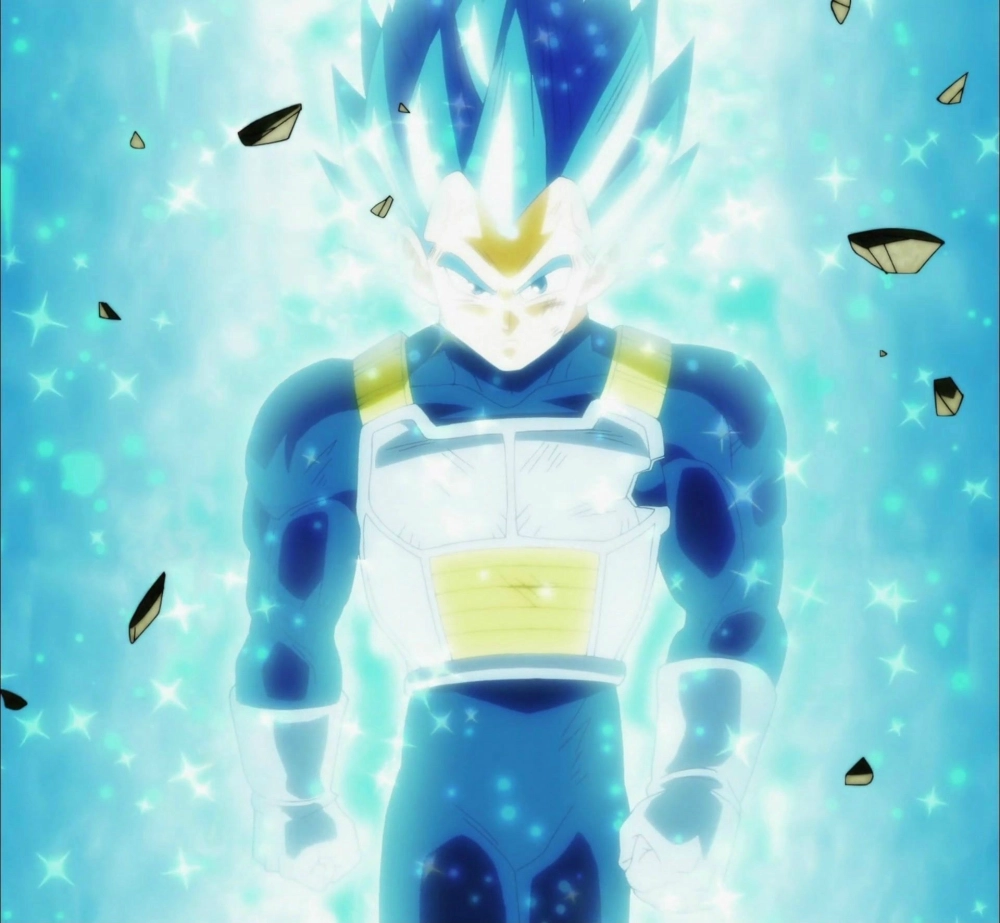 Vegeta 31