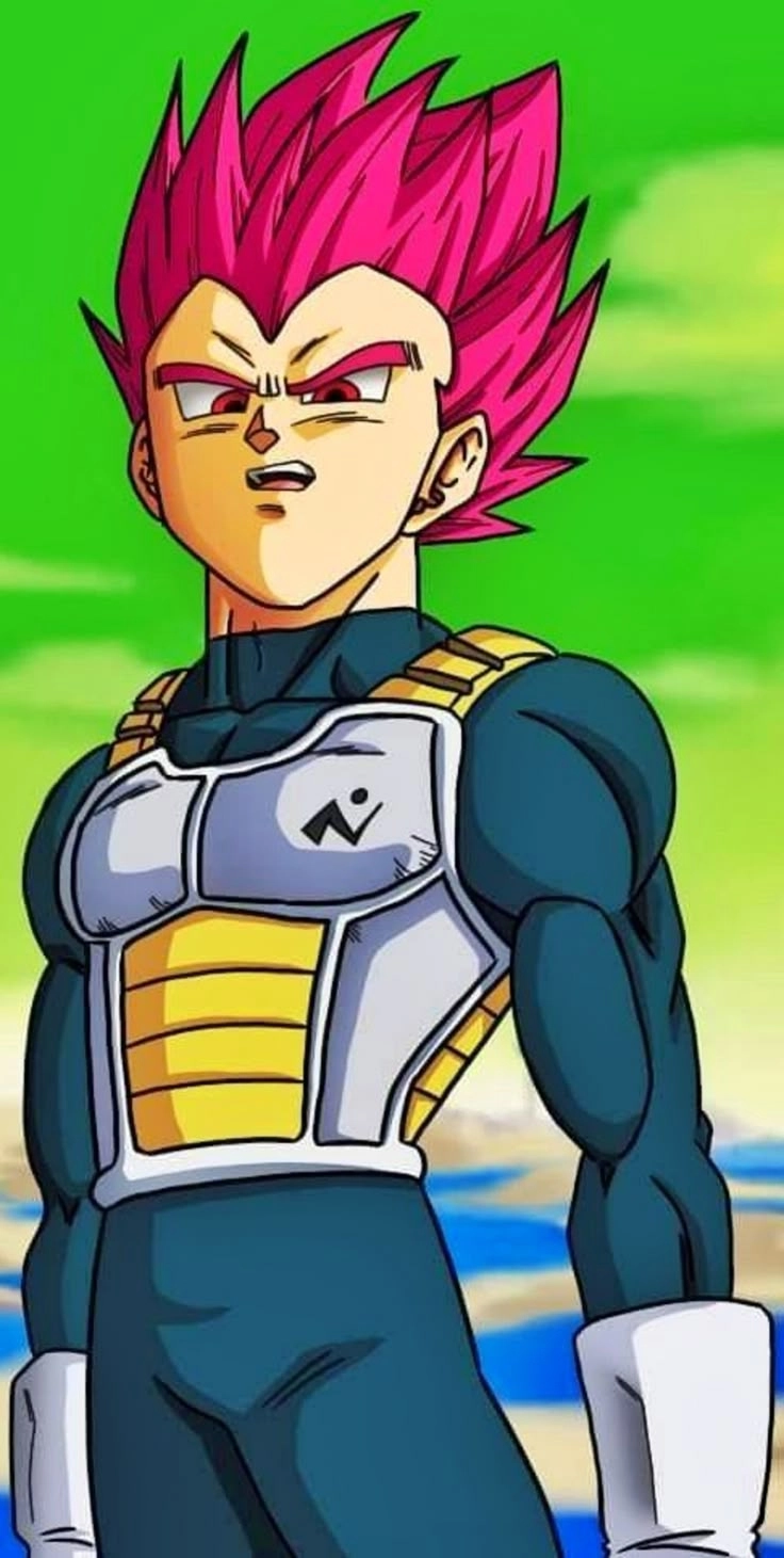 Vegeta 15