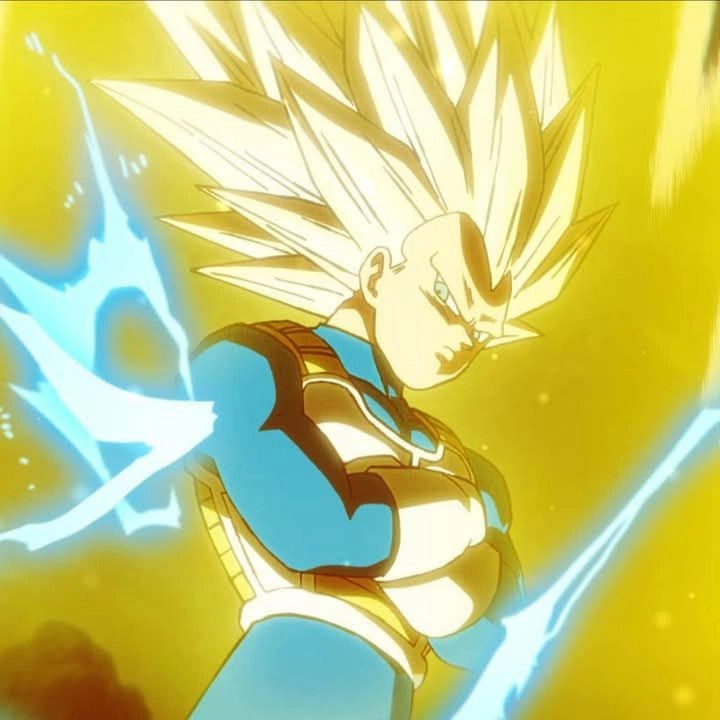 Vegeta 16
