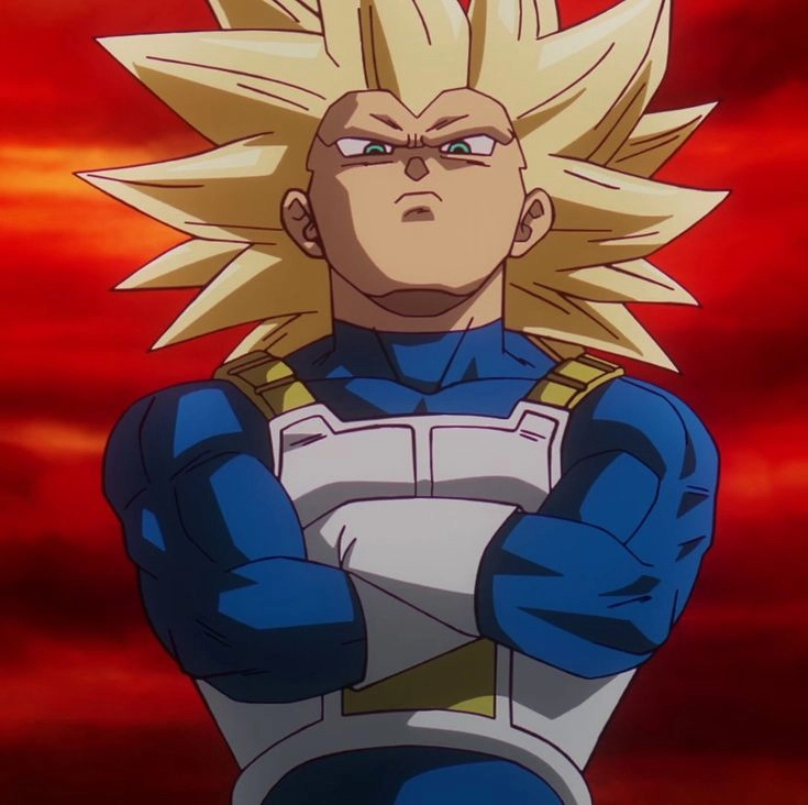 Vegeta 17