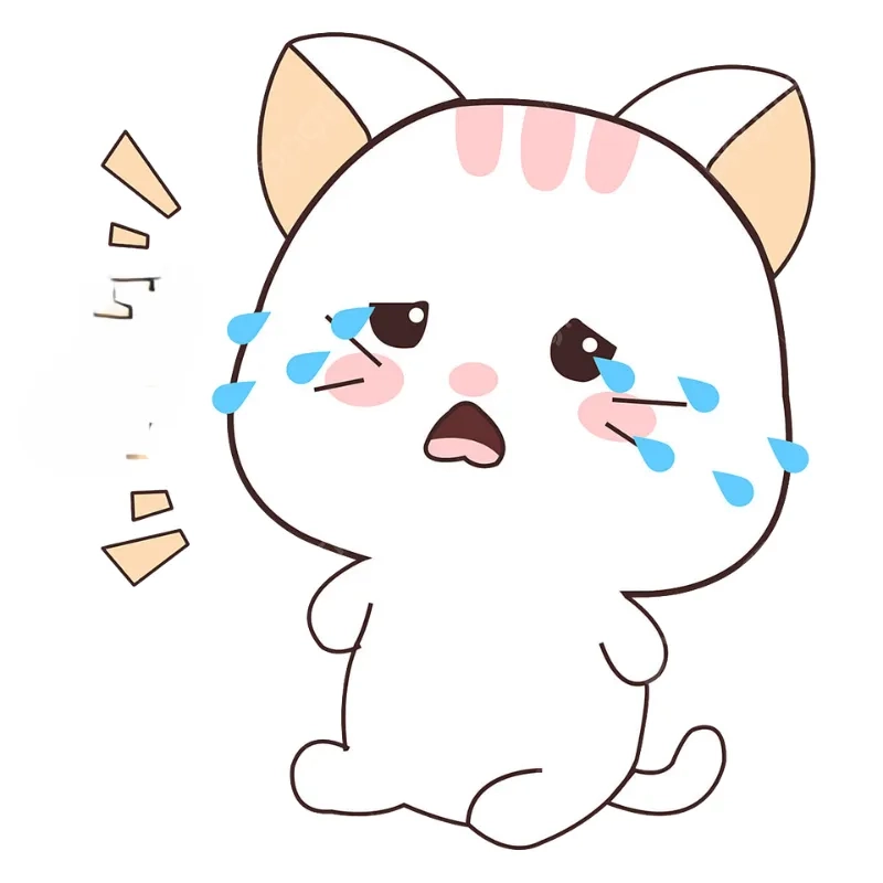 Ảnh crying meme 4