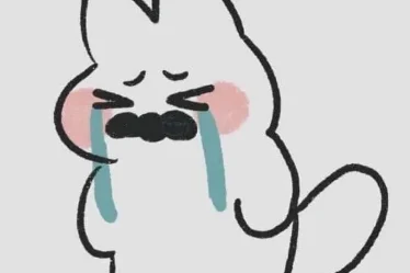 anh crying meme 07