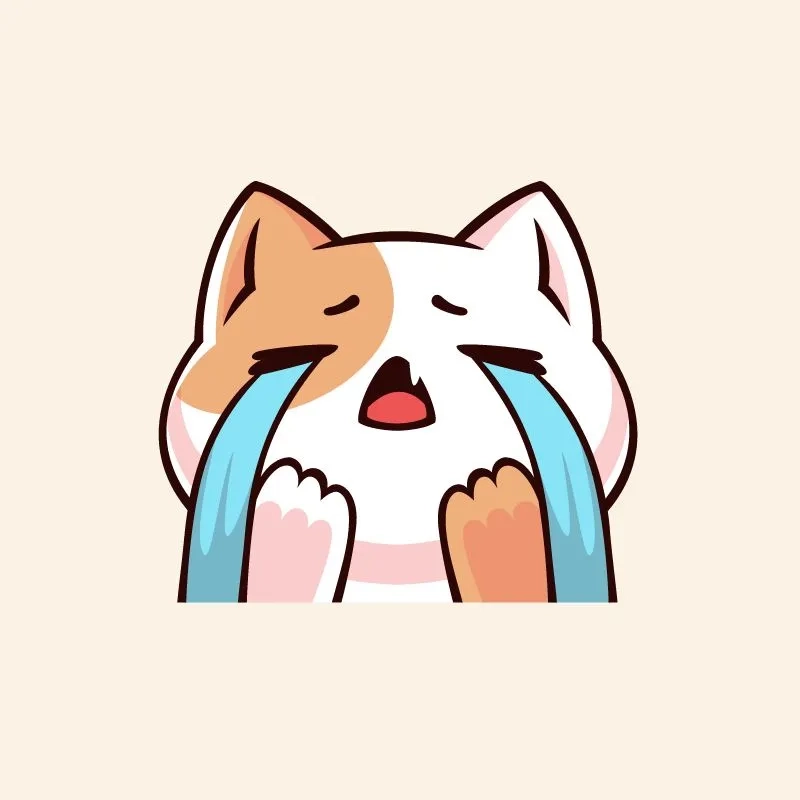 Ảnh crying meme 10