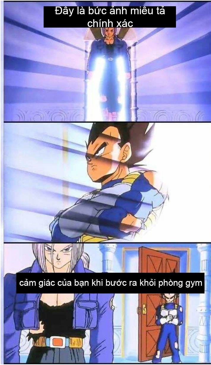 ảnh Goku meme 10