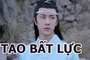 anh meme bat luc 09