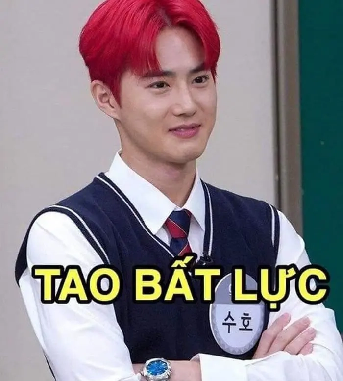ảnh meme bất lực 2