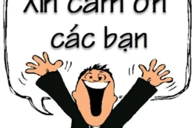 anh meme cam on 05