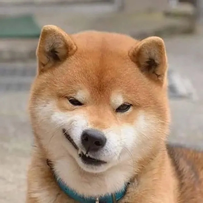 101 biểu cảm meme 16