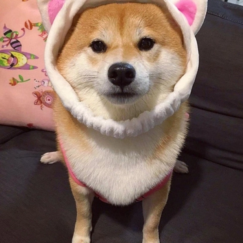 101 biểu cảm meme 4