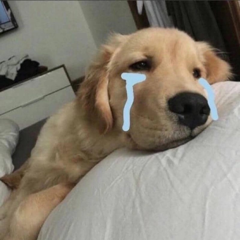 101 biểu cảm meme 9
