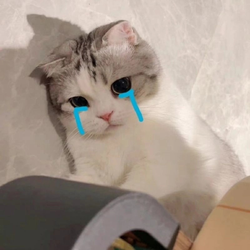meme dễ thương 34