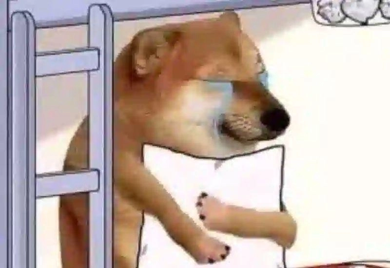 ảnh meme dỗi 12