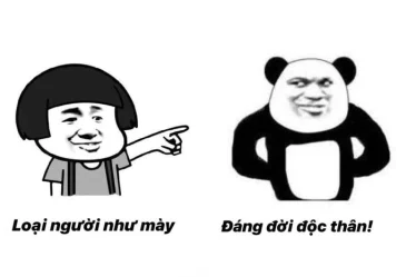 anh meme gau 05