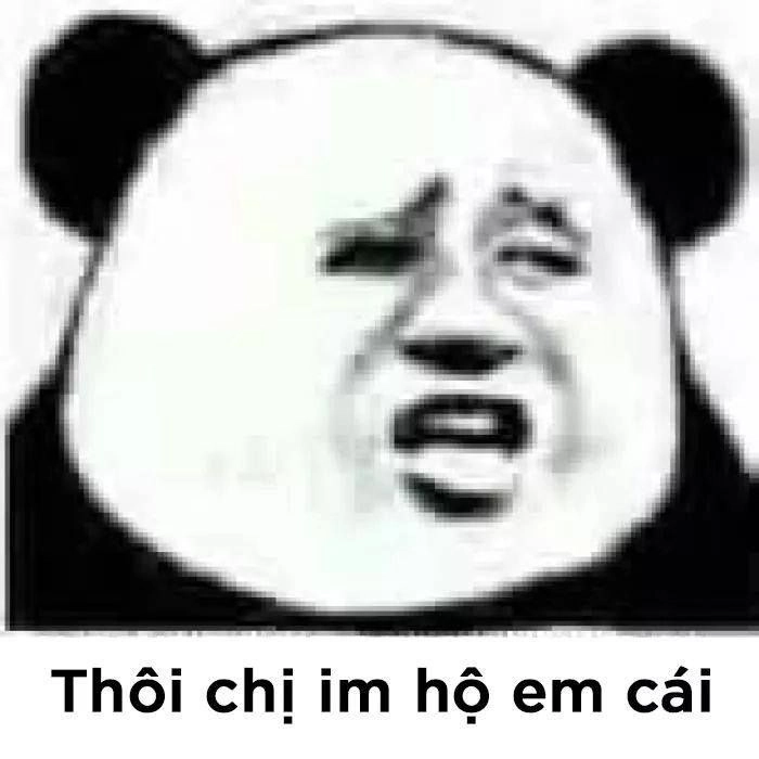 ảnh meme gấu 10