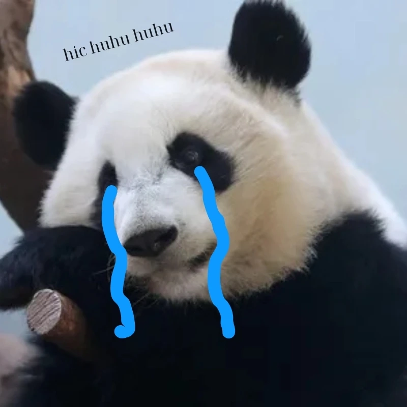 gấu trúc bựa 17