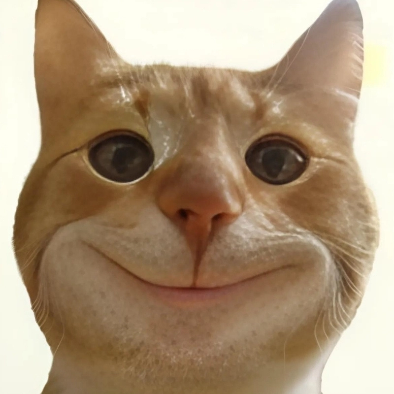 meme hài hước 12