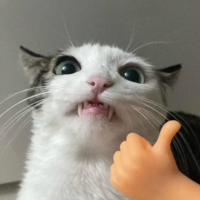 ảnh meme like 3