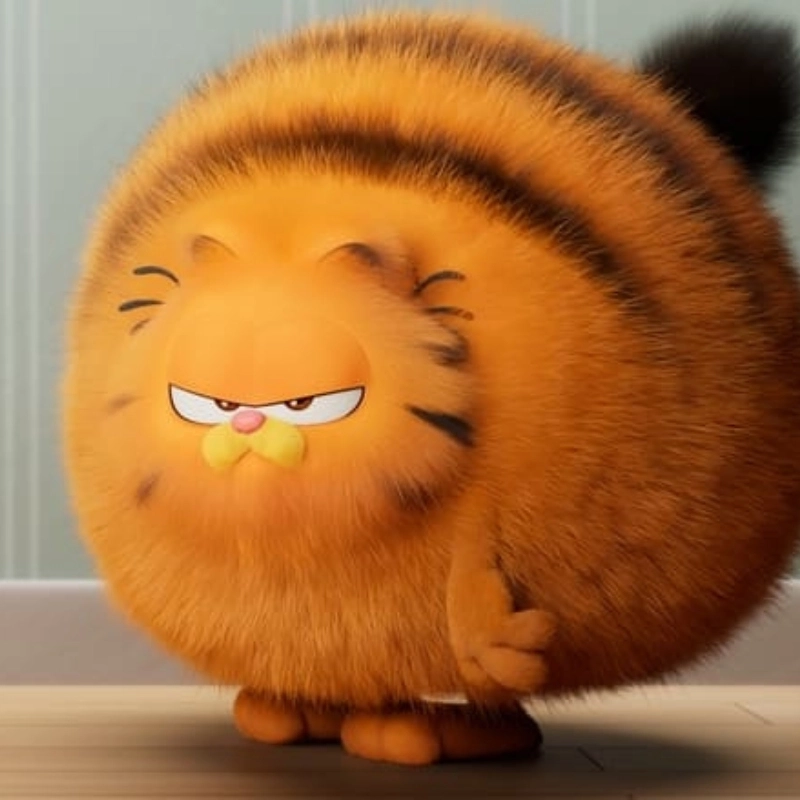 Meme mèo cute 13