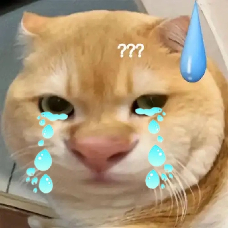 ảnh meme mèo khóc 45