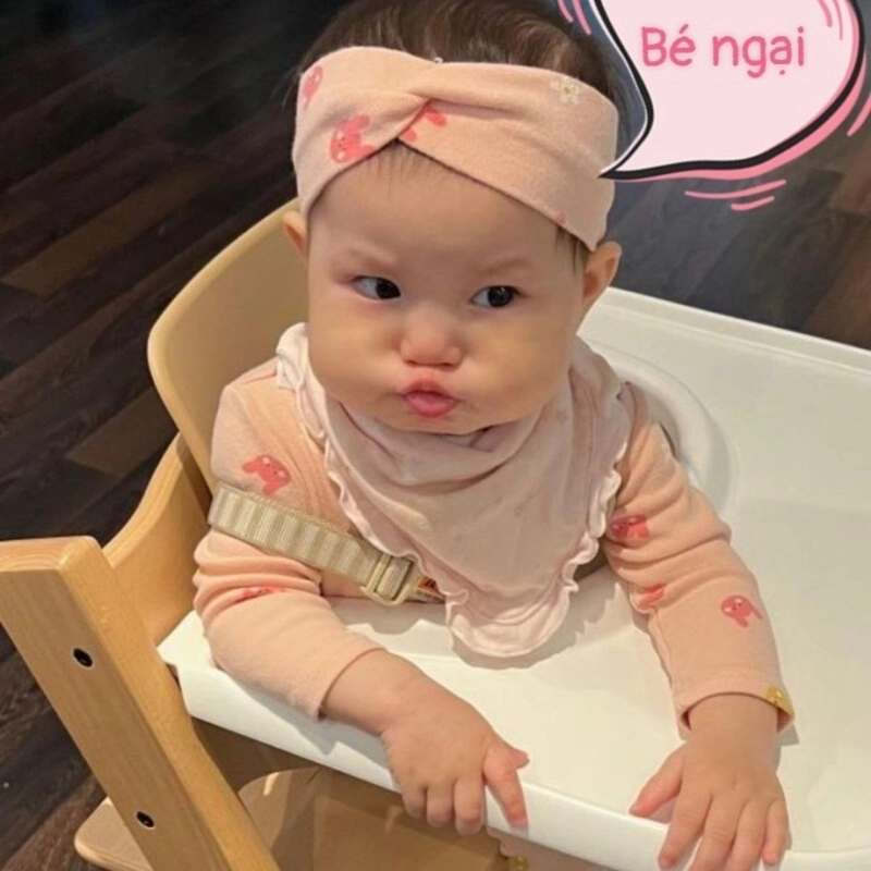 meme ngại 27