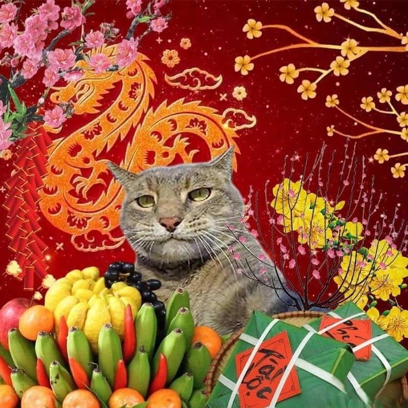 meme Tết vui nhộn 21