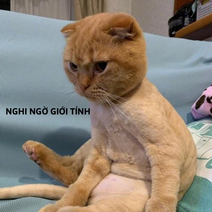 ảnh meme nghi ngờ 11