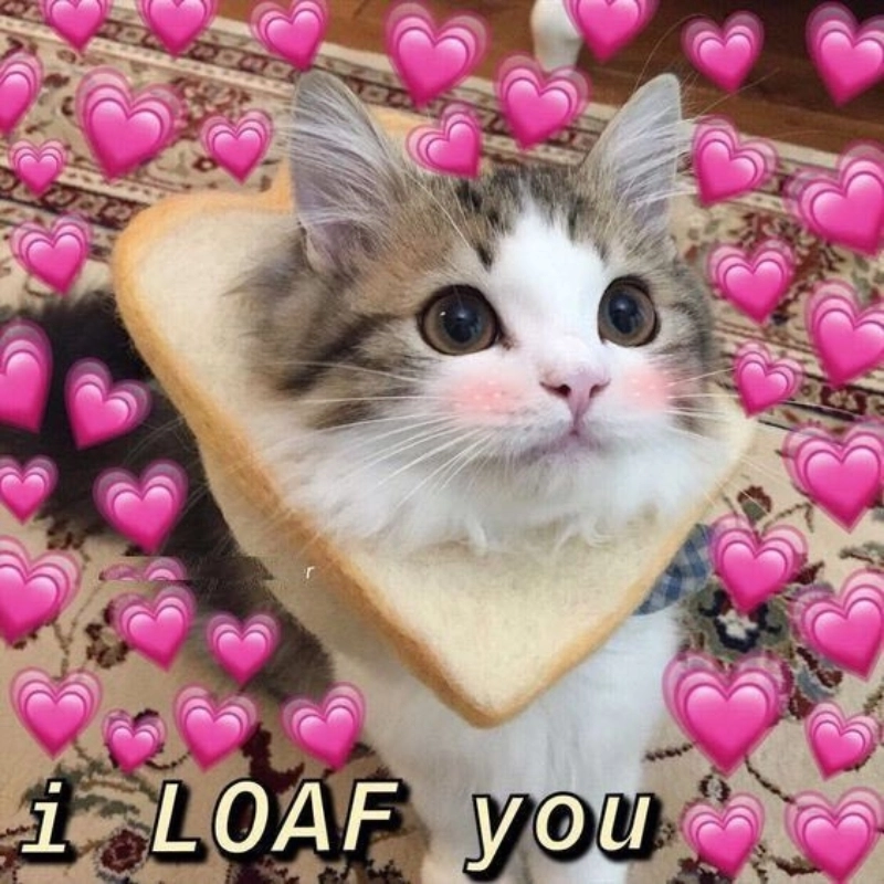 meme tình yêu 35