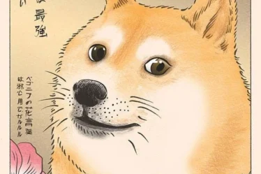 anh meme ve 15