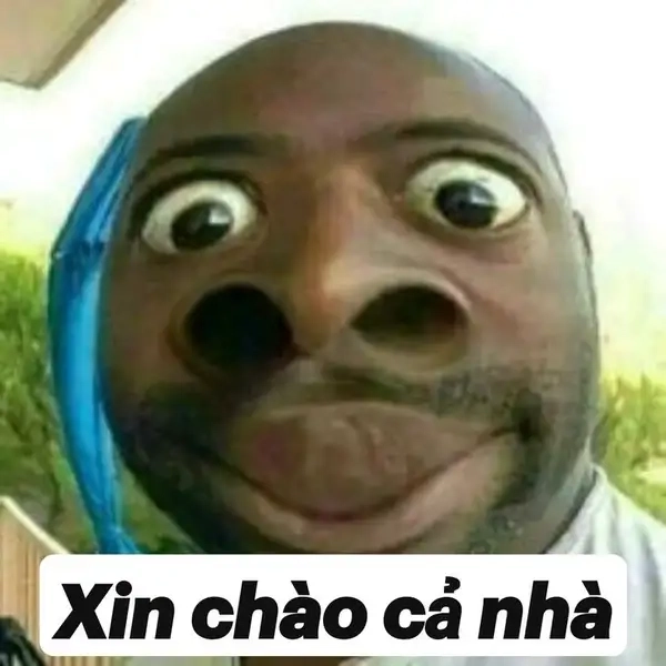 Ảnh meme xin chào 4