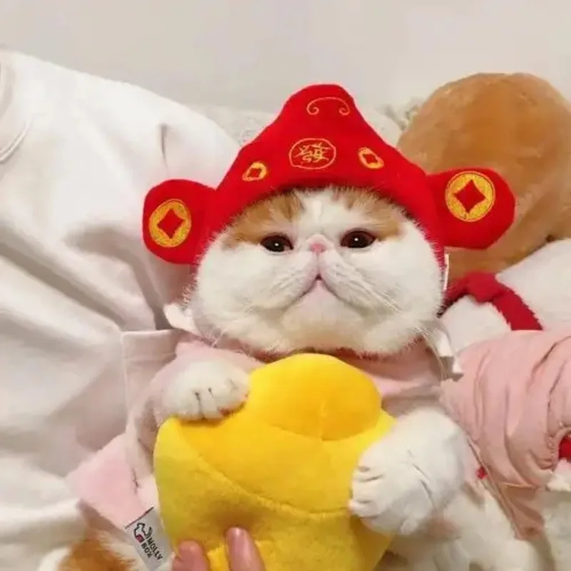 meme mèo Tết 3