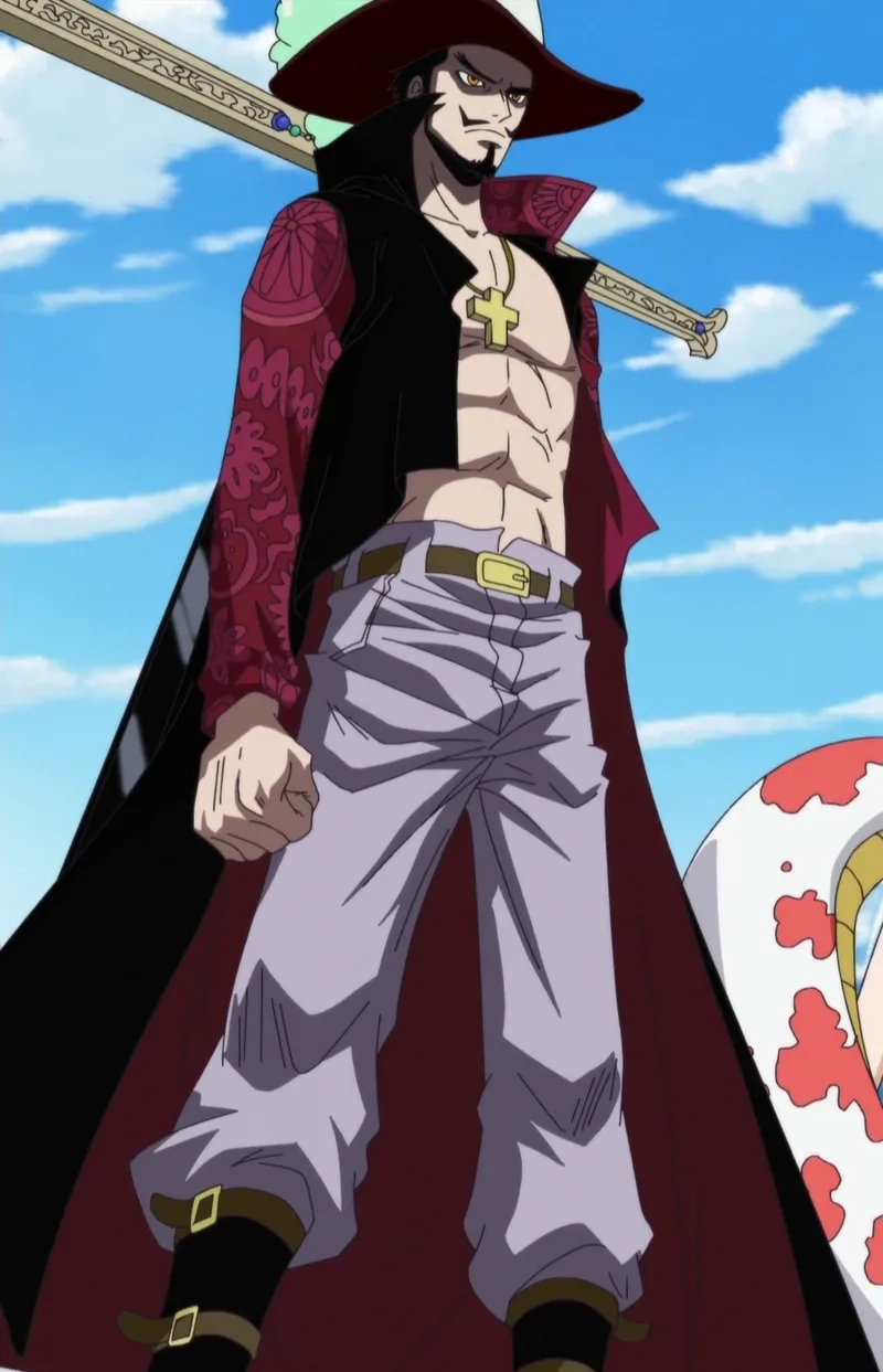 Dracule Mihawk 9