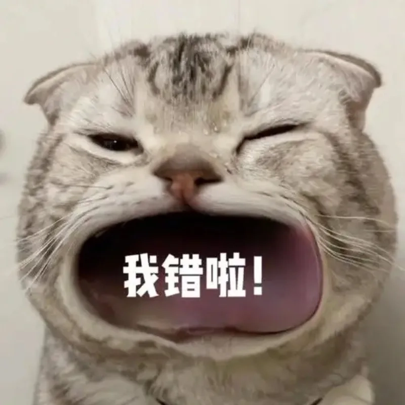 ảnh chế meme mèo bựa 42