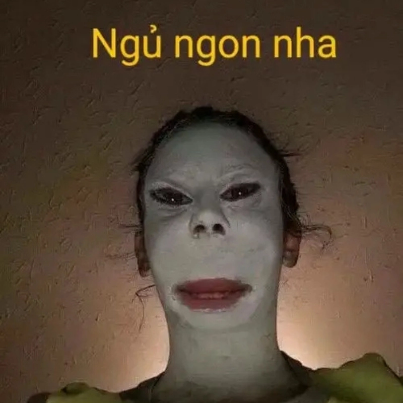 meme ảnh chế 32